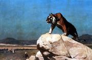 Jean Leon Gerome Tiger on the Watch USA oil painting artist